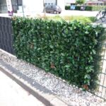 Kunststof Prunushaag