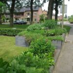 3 groeiseizoenen later