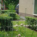 3 groeiseizoenen later