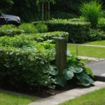 3 groeiseizoenen later