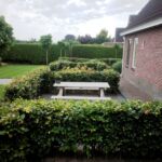 Het resultaat